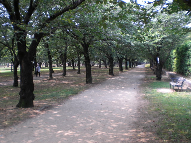 浜寺公園プール