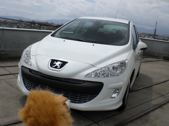 308NaviPlus　中古車案内