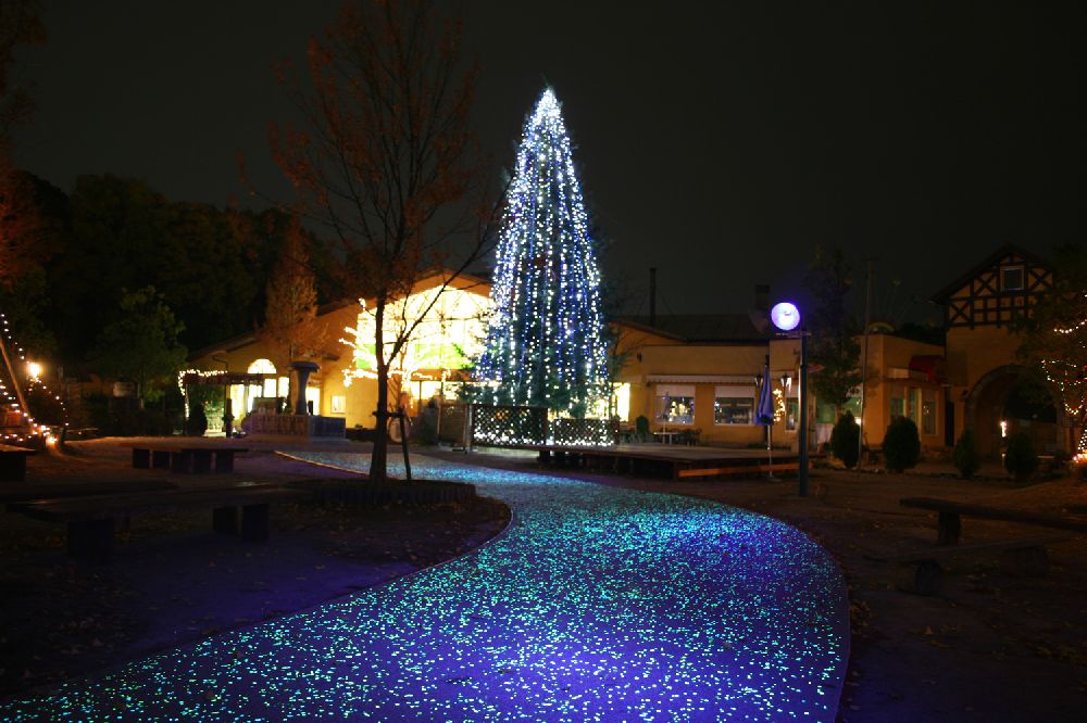 大阪南地域オススメスポット～クリスマス～