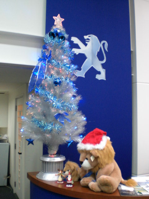 大阪南地域オススメスポット～クリスマス～
