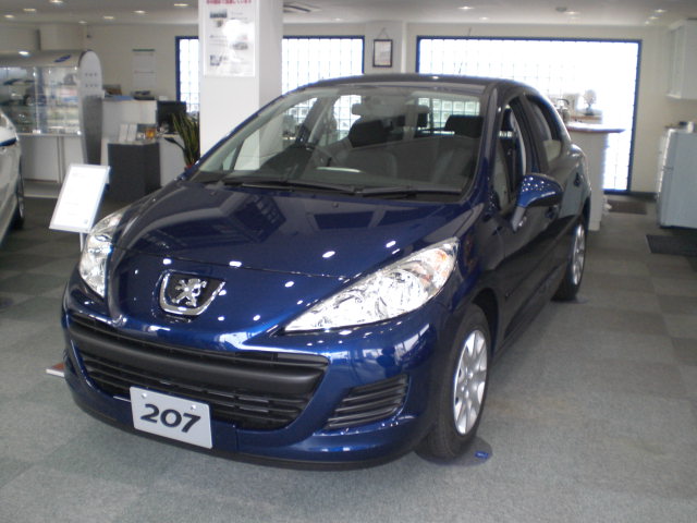 最新展示車情報