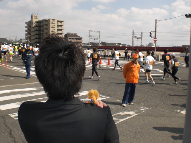 本日開催　泉州国際市民マラソン