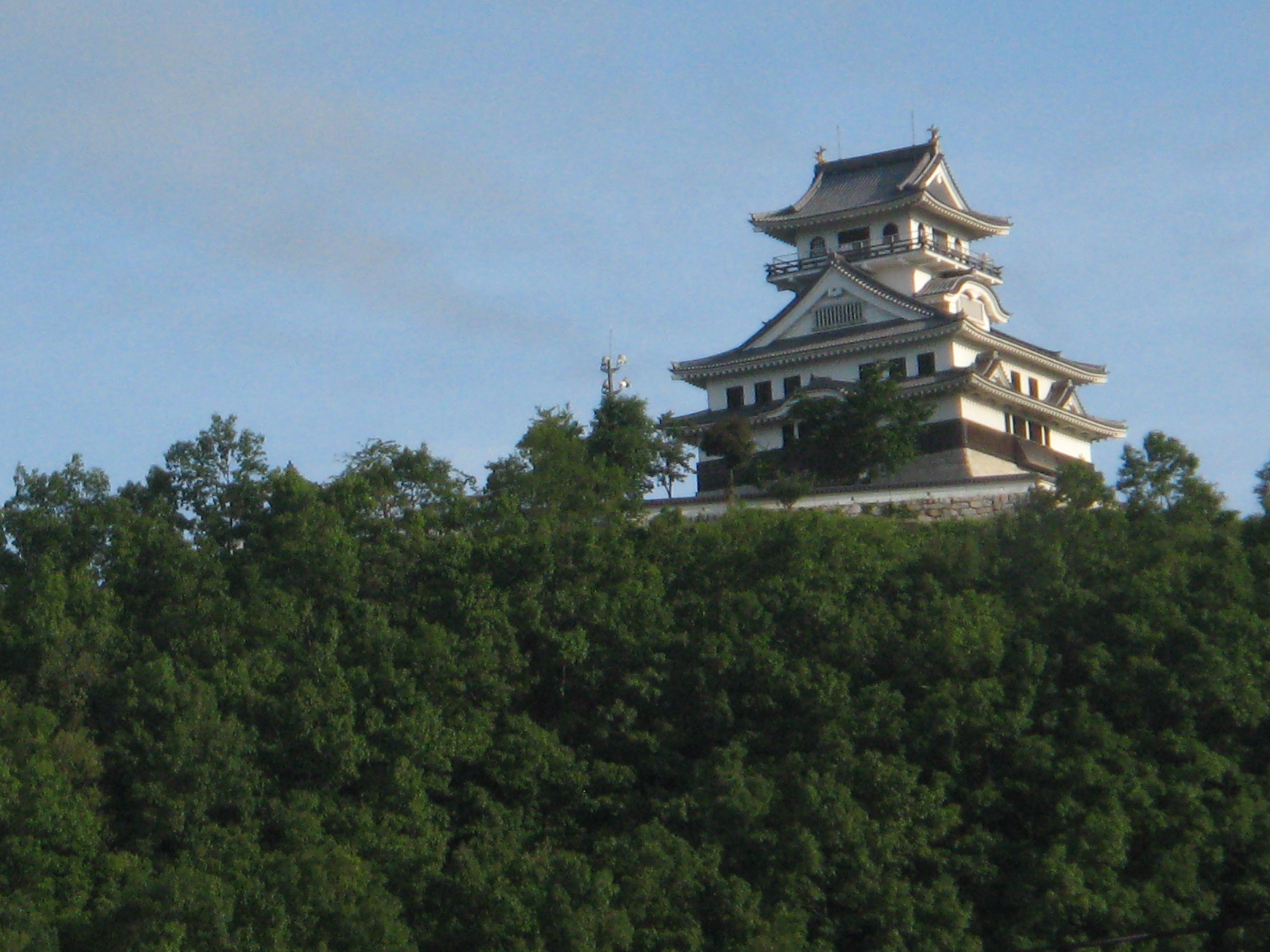 鳥取レポート