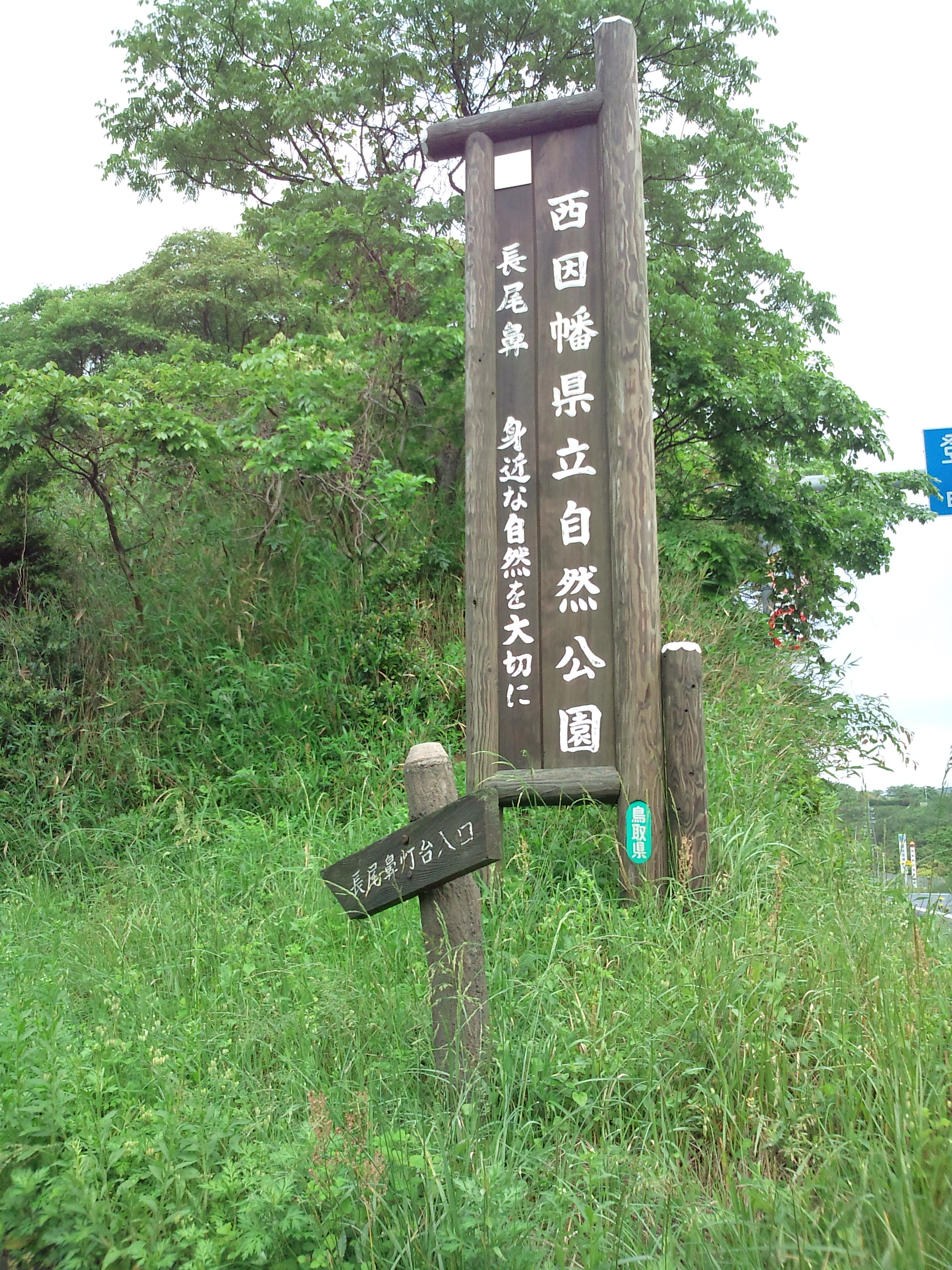 鳥取レポート