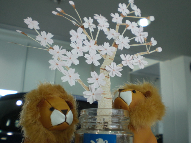 308envy　展示しております