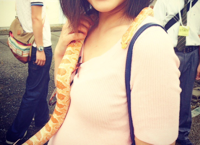 縁起のいい出来事☆