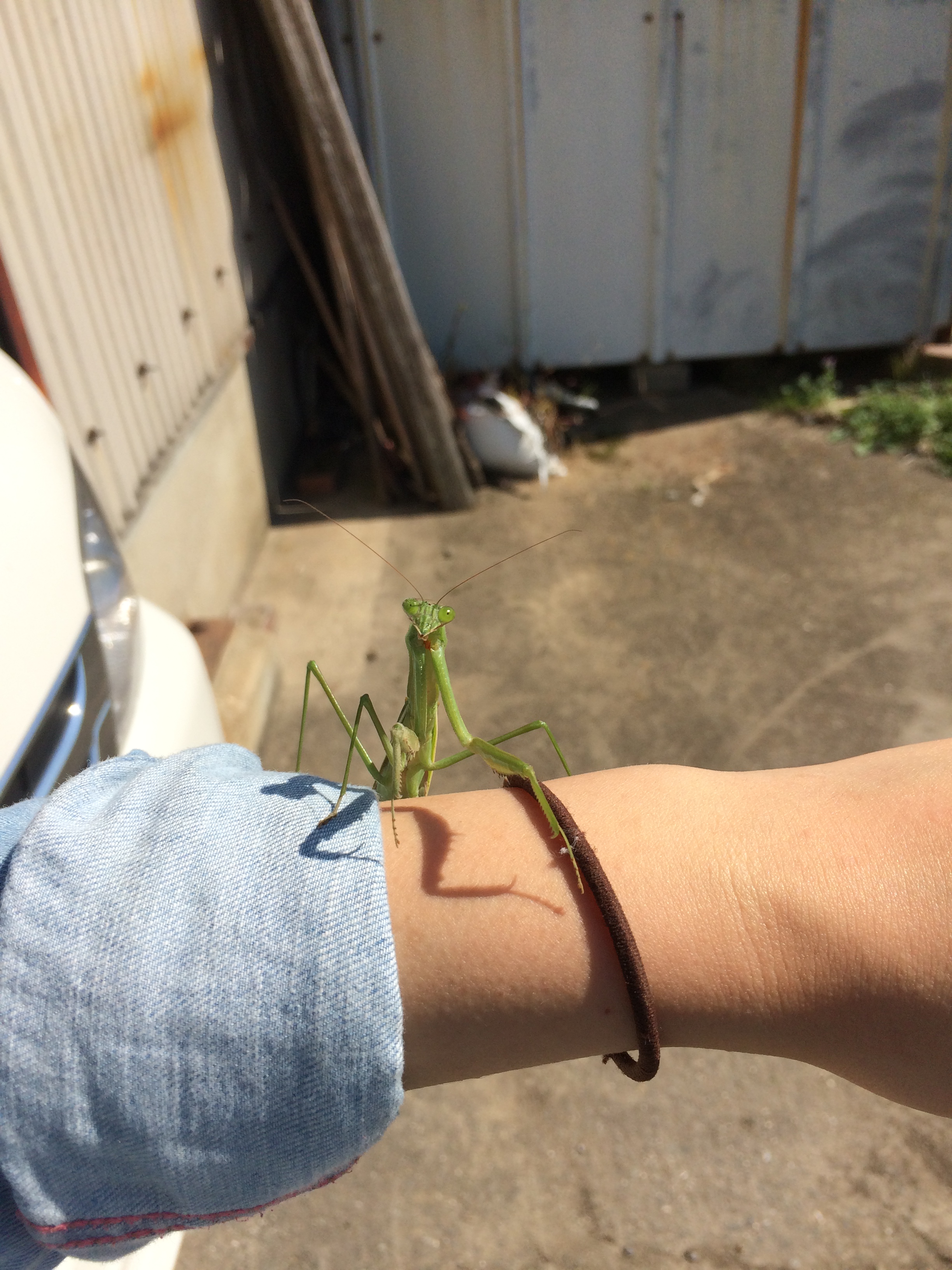 秋の恒例行事☆