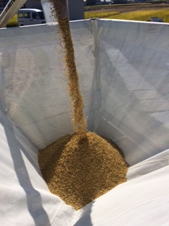 秋の恒例行事☆