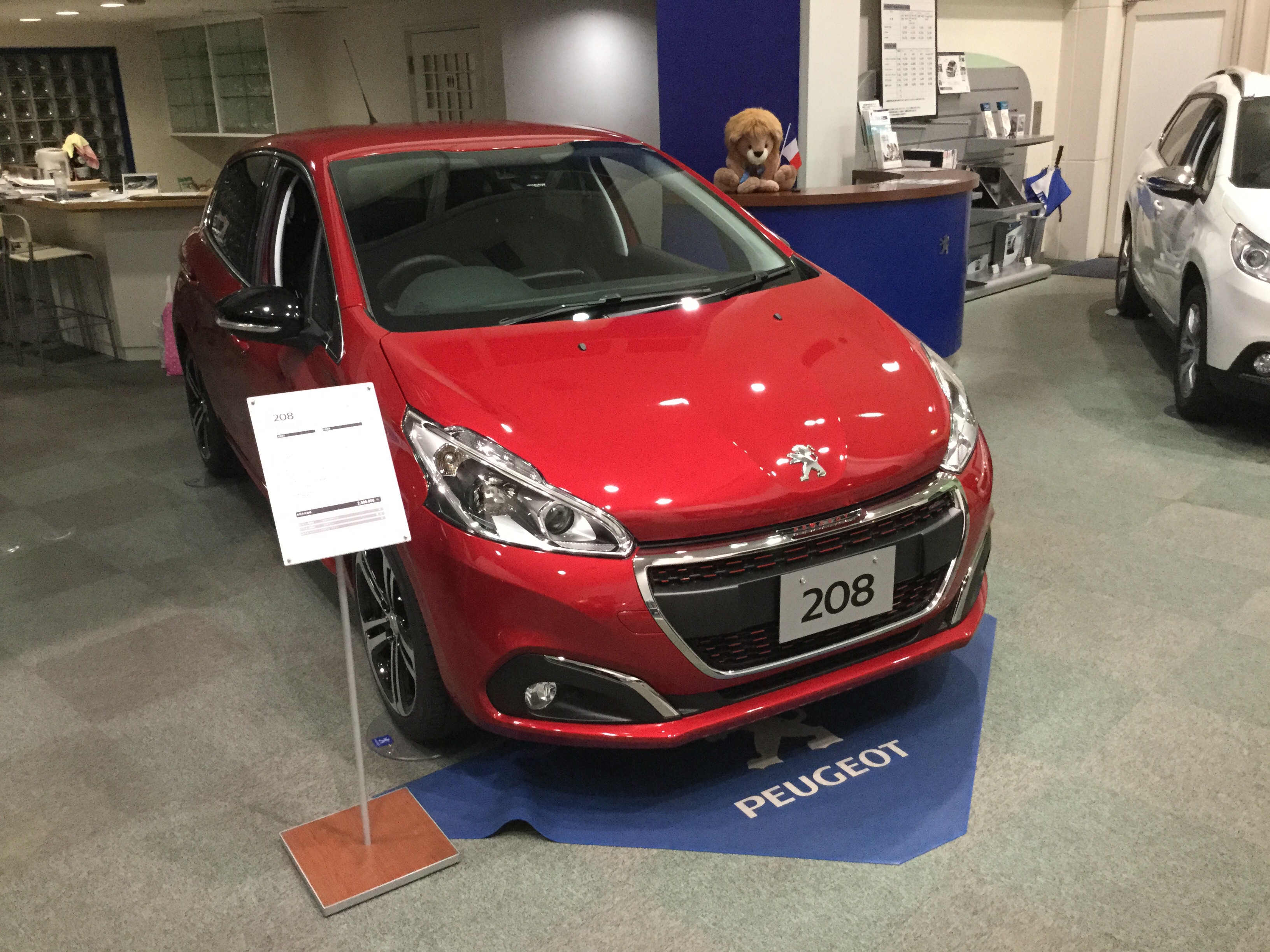 展示車入れ替えました