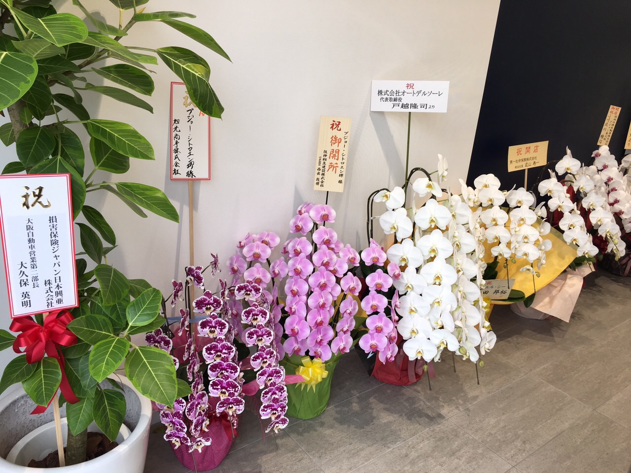 新店舗オープン&ブティックキャンペーン