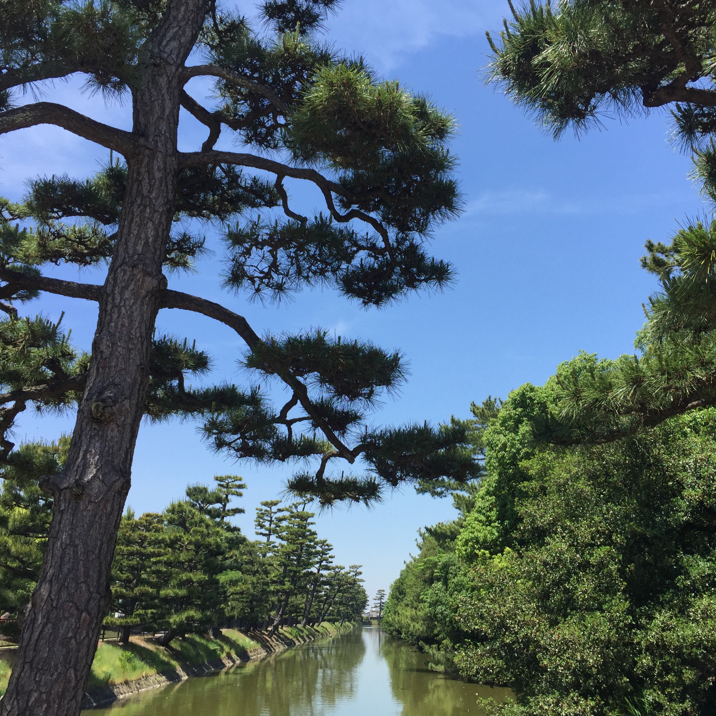 世界文化遺産を大阪に！