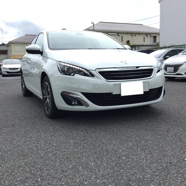 待望のモデルがついに発表です！