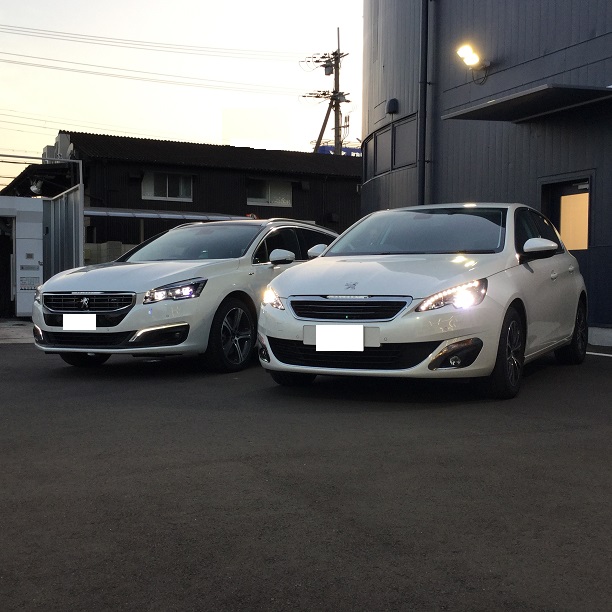 ２車種揃いました！