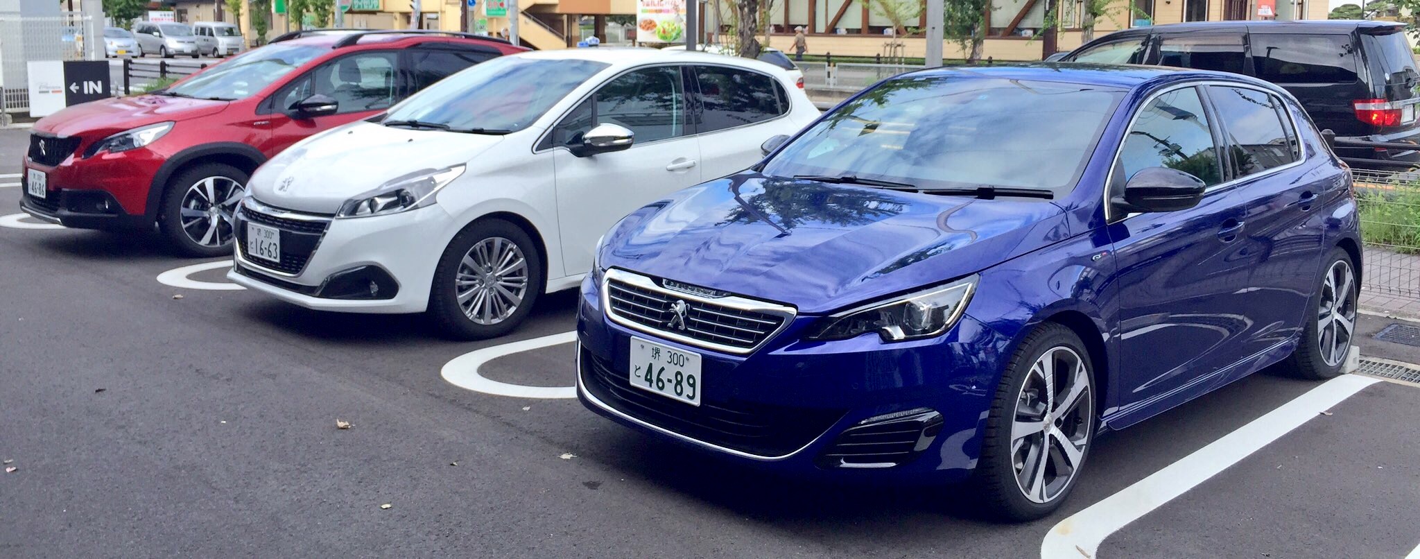 トリコロール