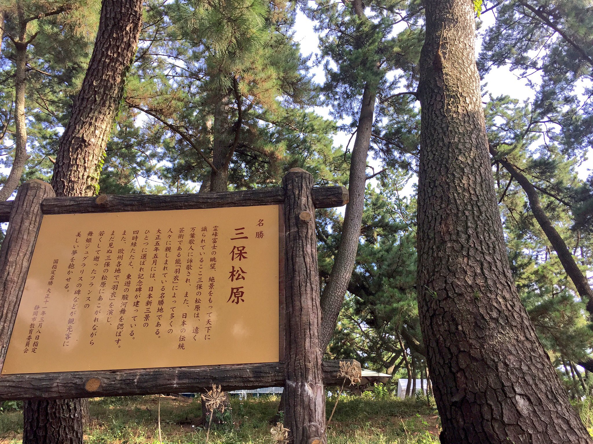 静岡県へ行く！の巻。