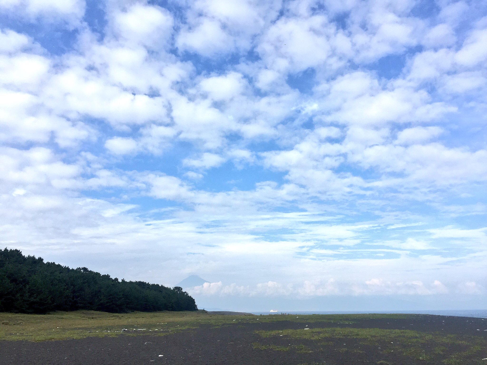静岡県へ行く！の巻。