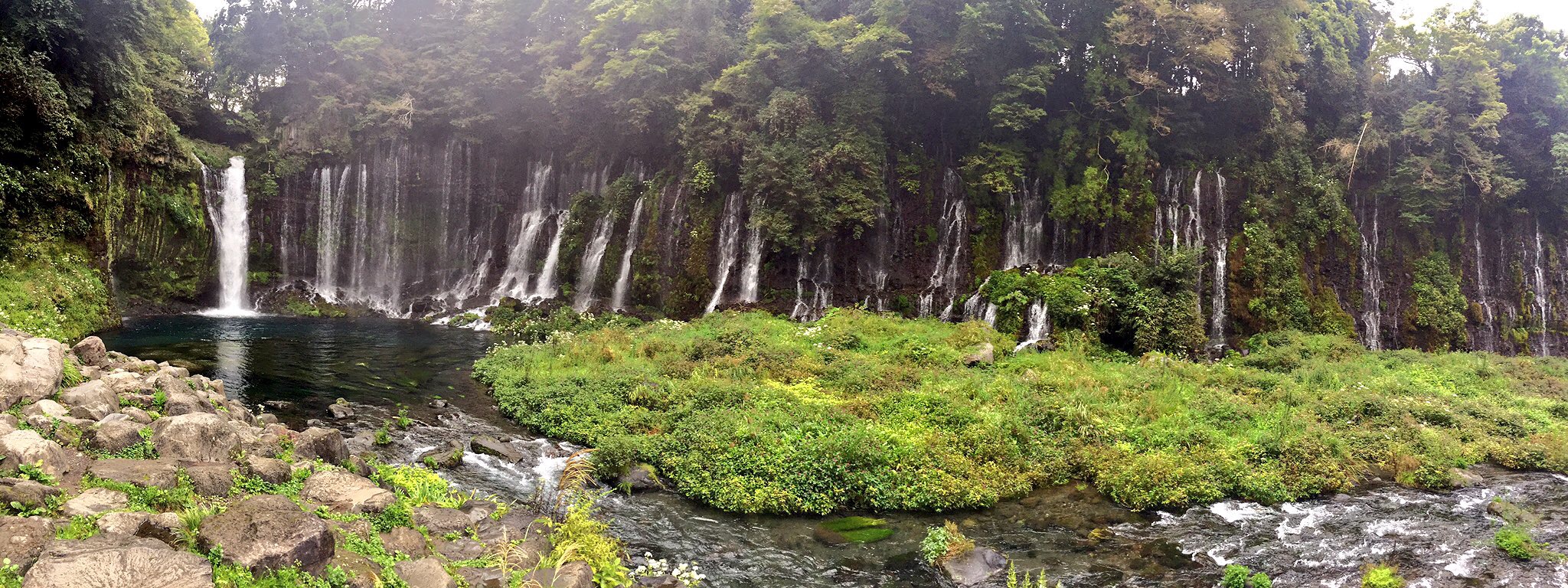 静岡県へ行く！の巻。
