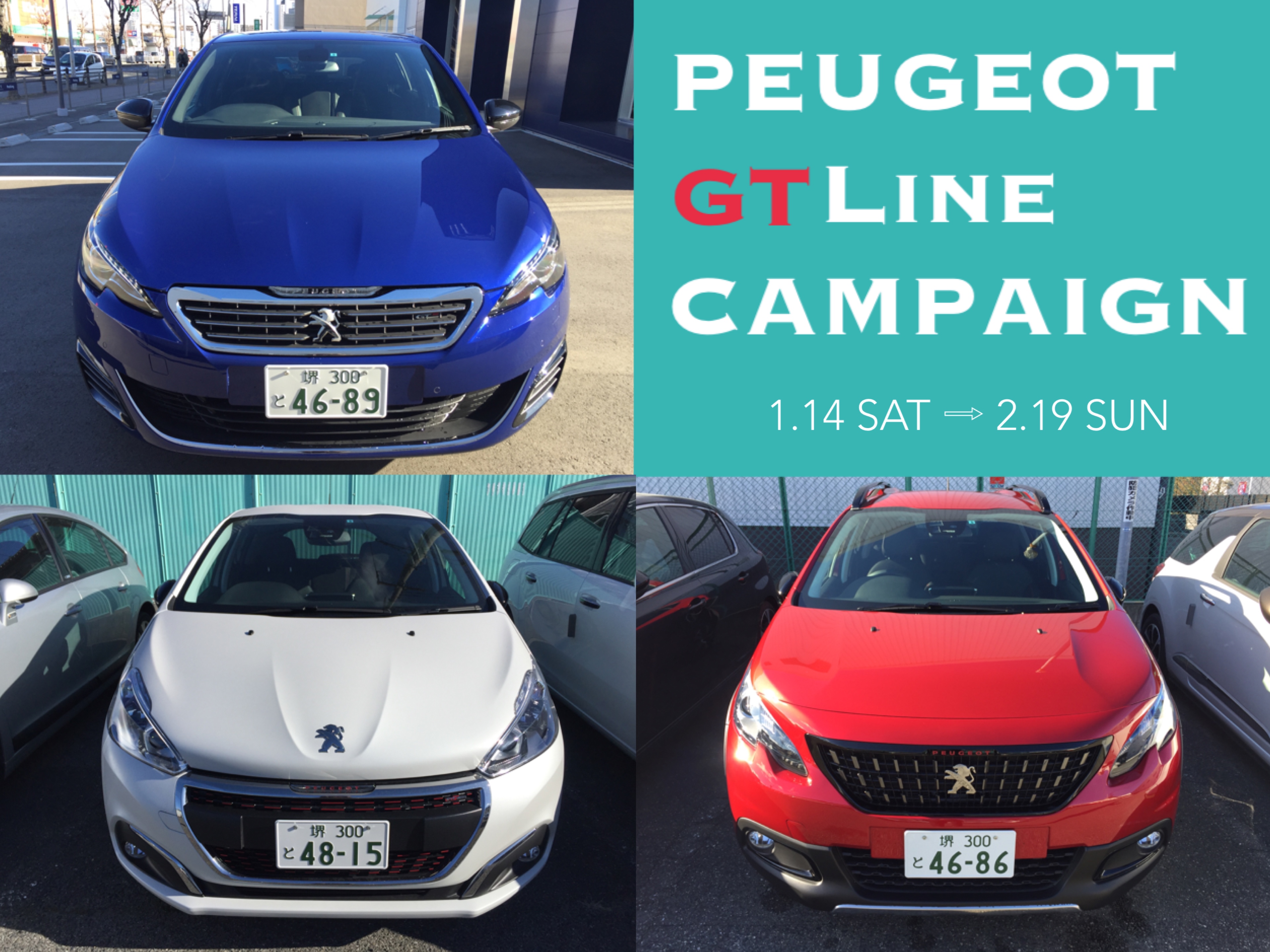 GTLINEキャンペーン開催中★