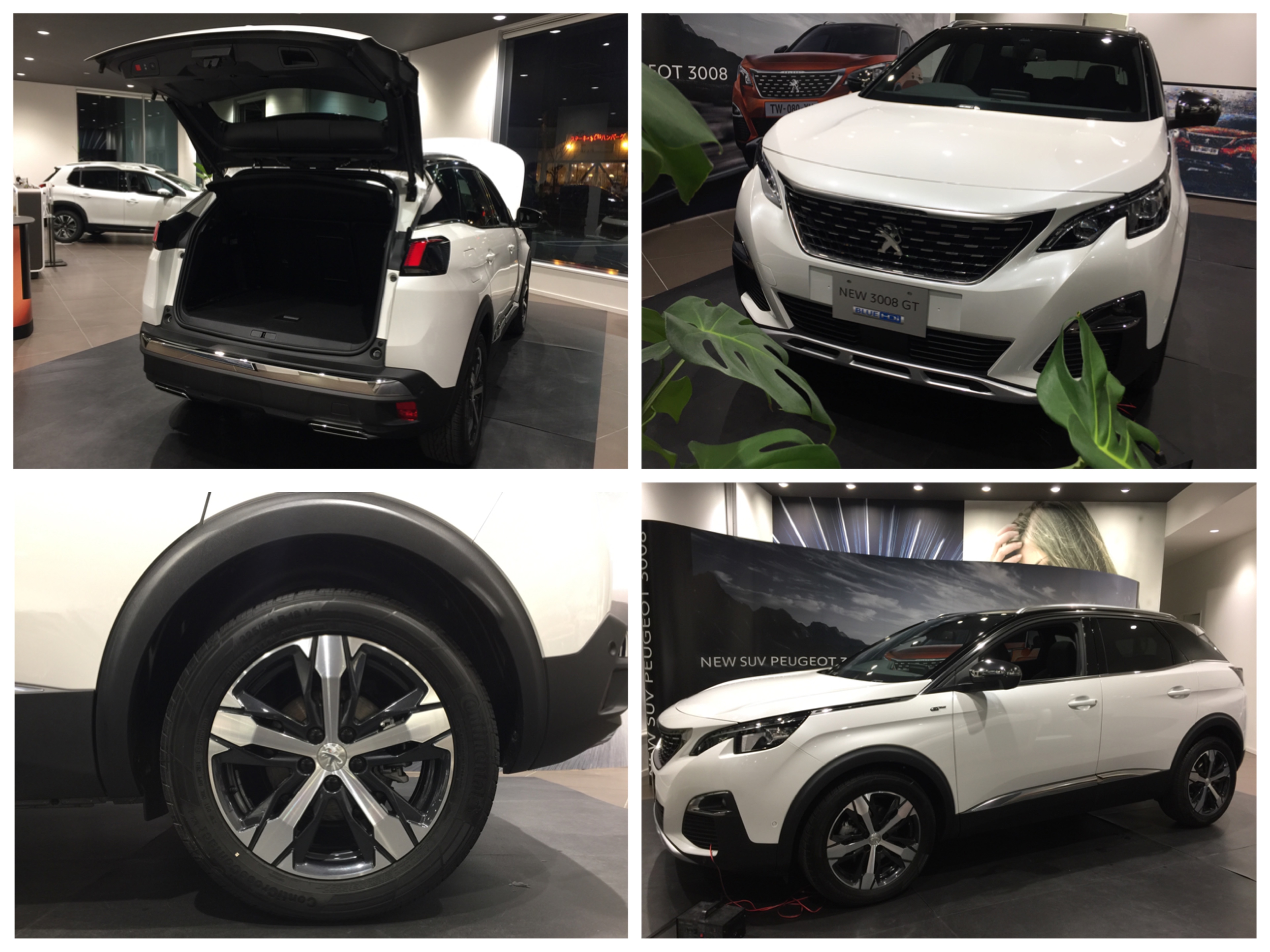 NEW3008特別展示会1日目