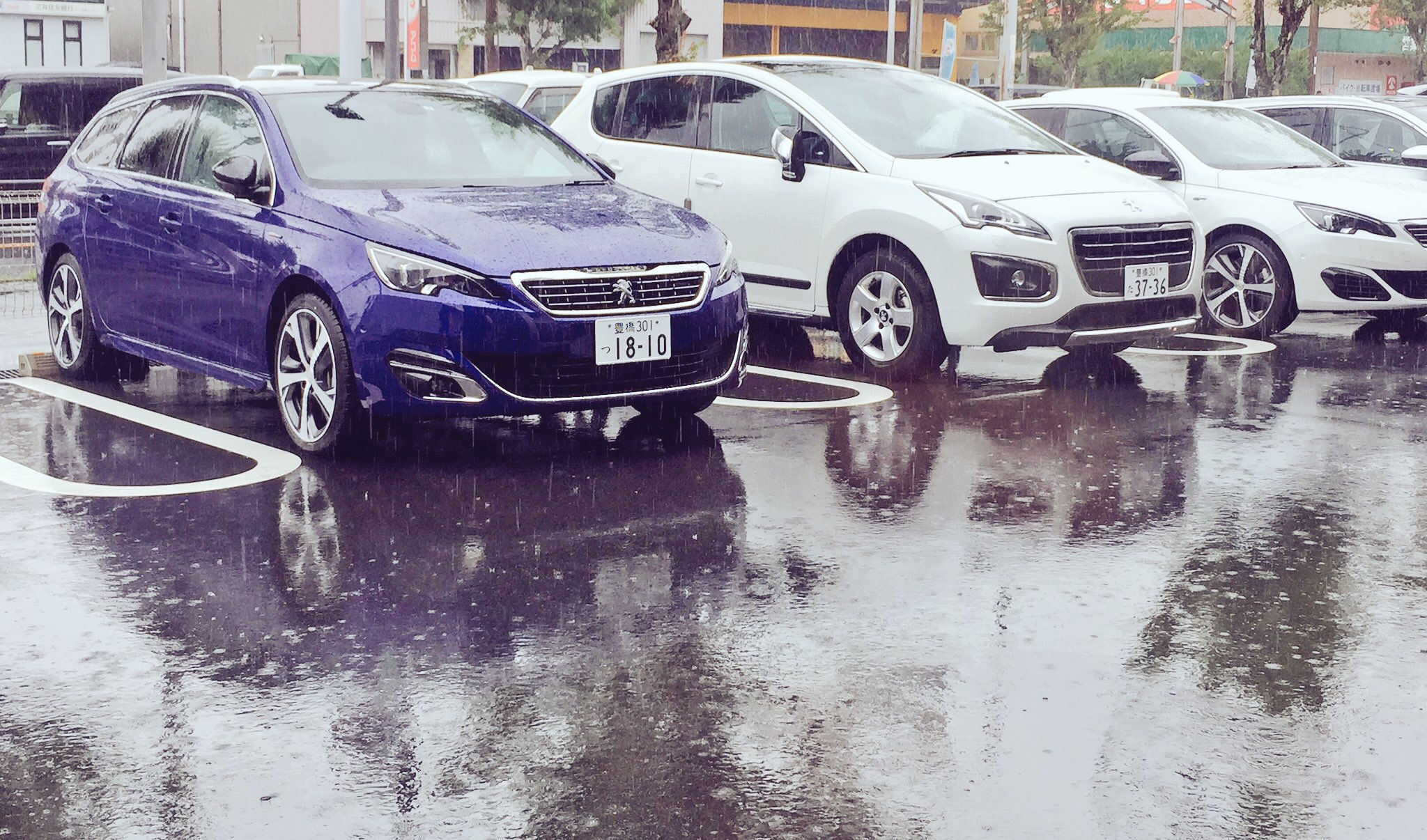3008と雨と308