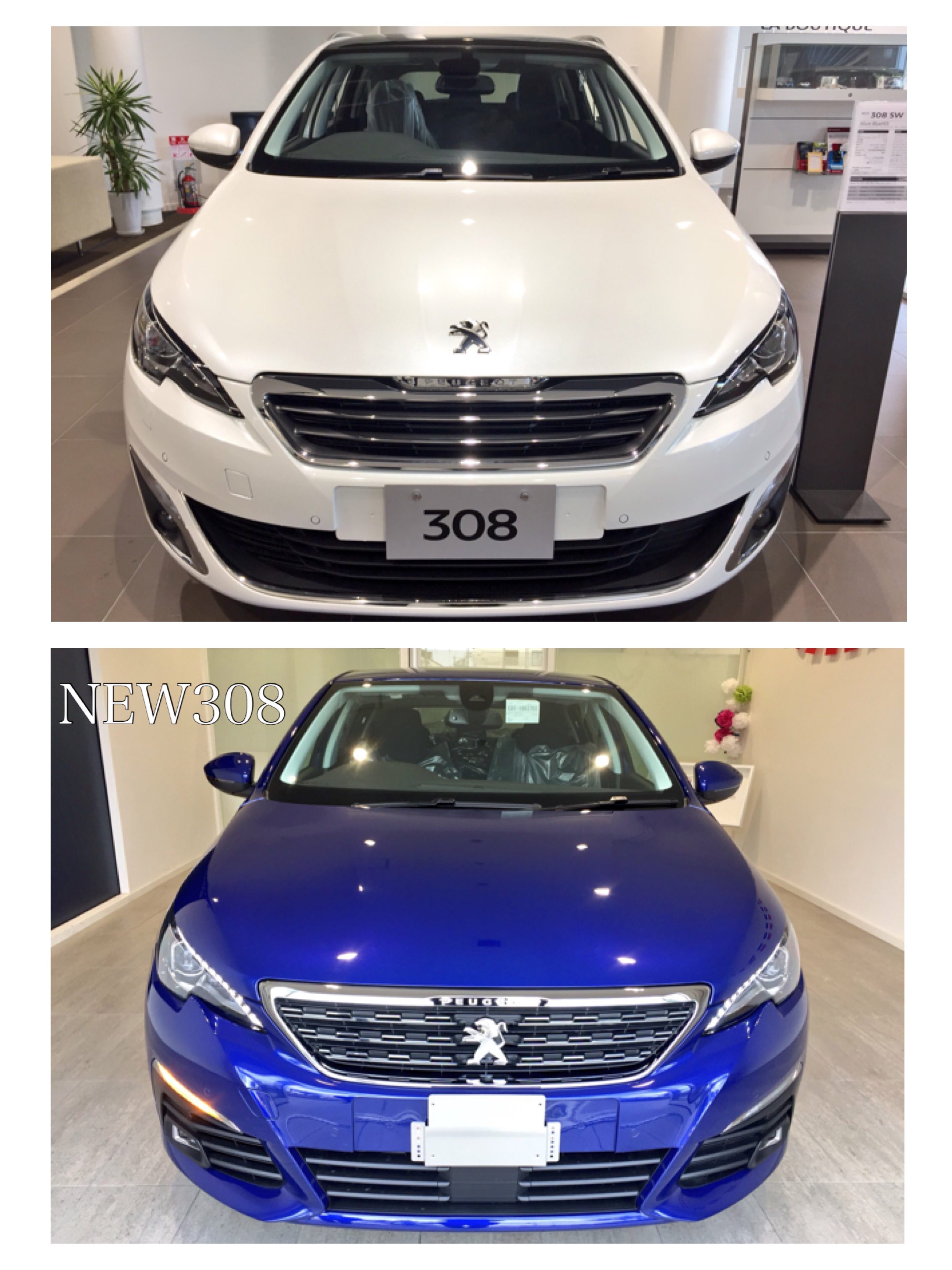 NEW308が届きました…！