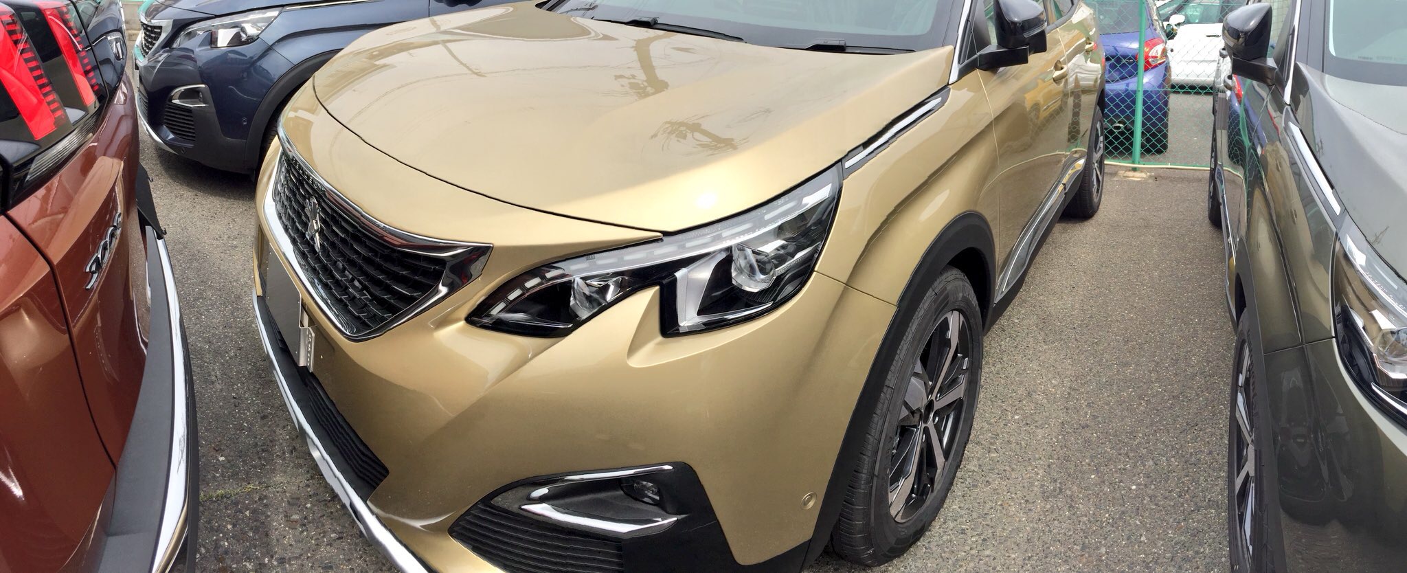 5008パイライトベージュ