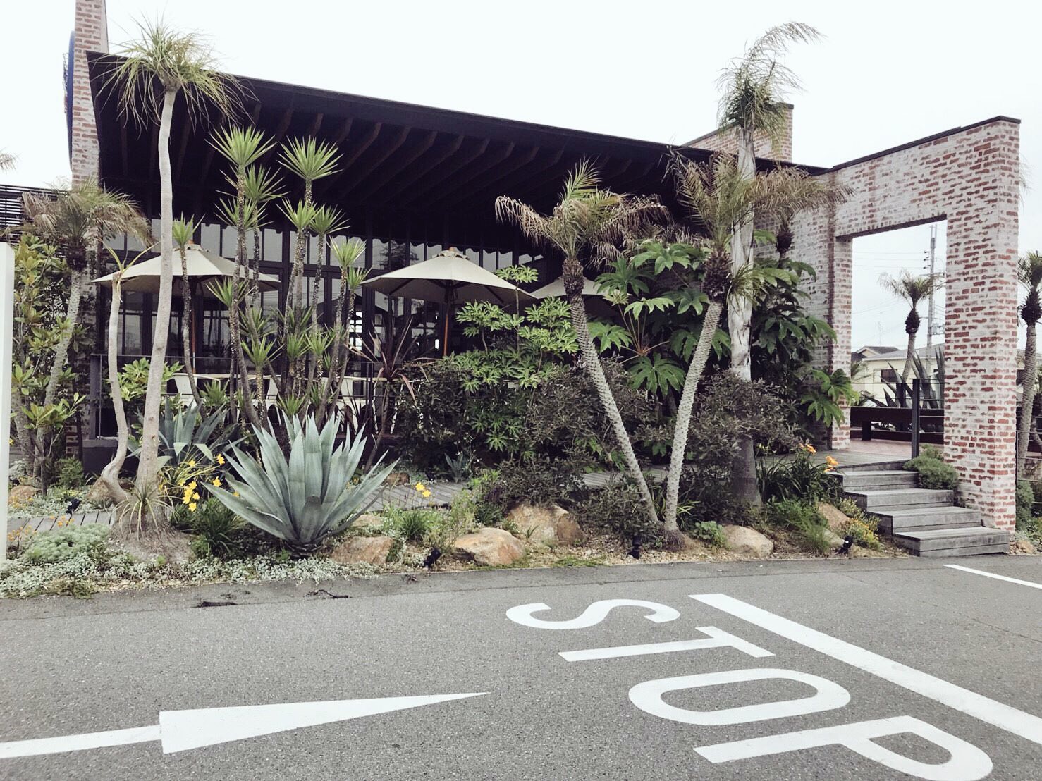 オニジャスコーヒービレッジへ