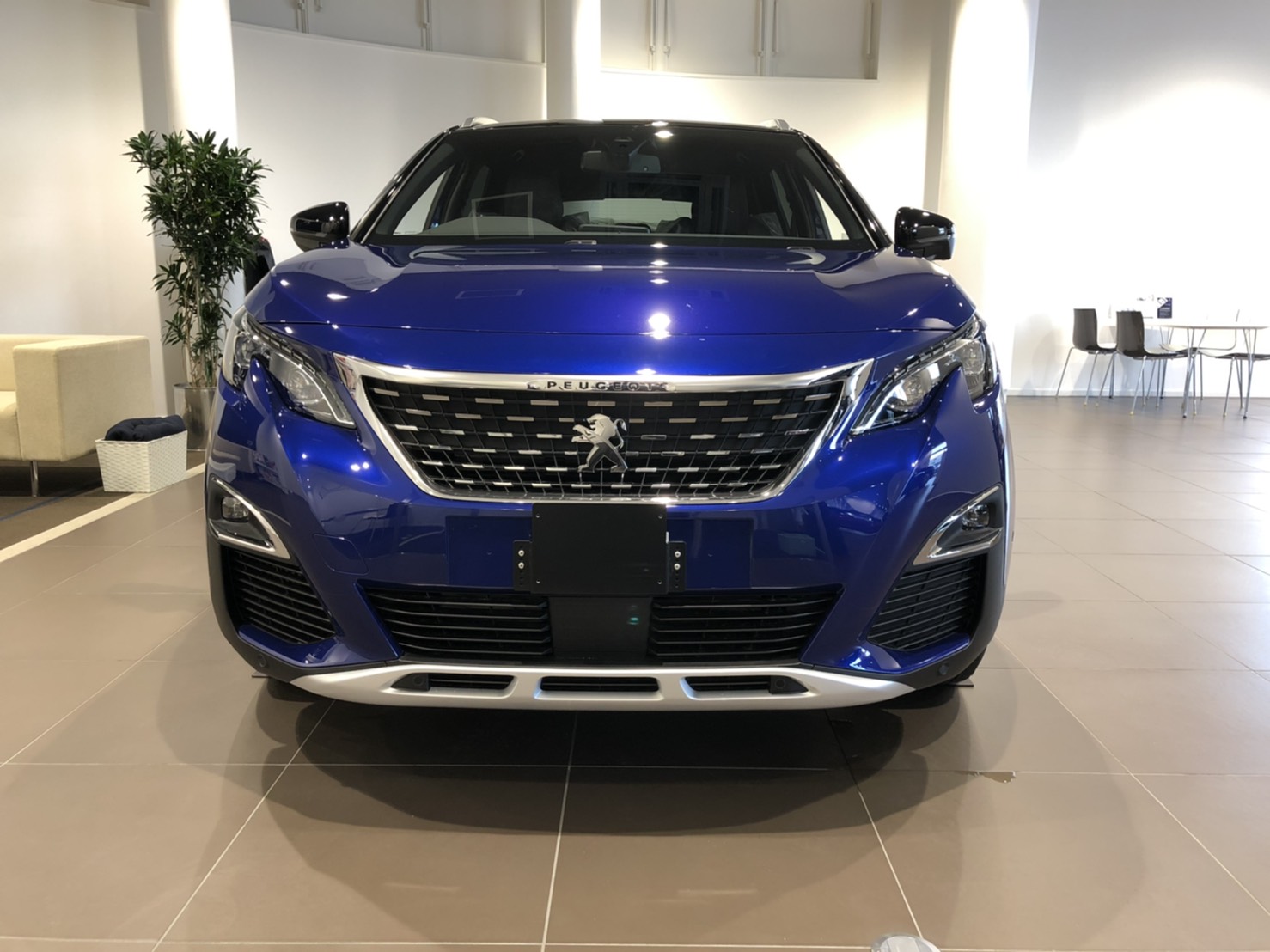 展示車入れ替え