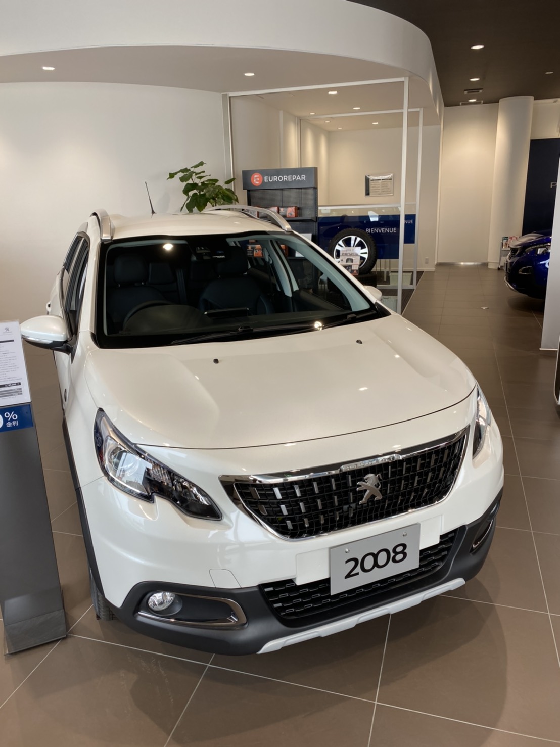 2008限定車！