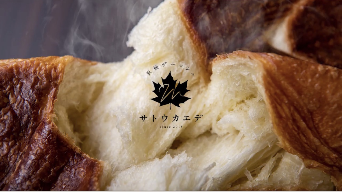 ✳︎サトウカエデ✳︎