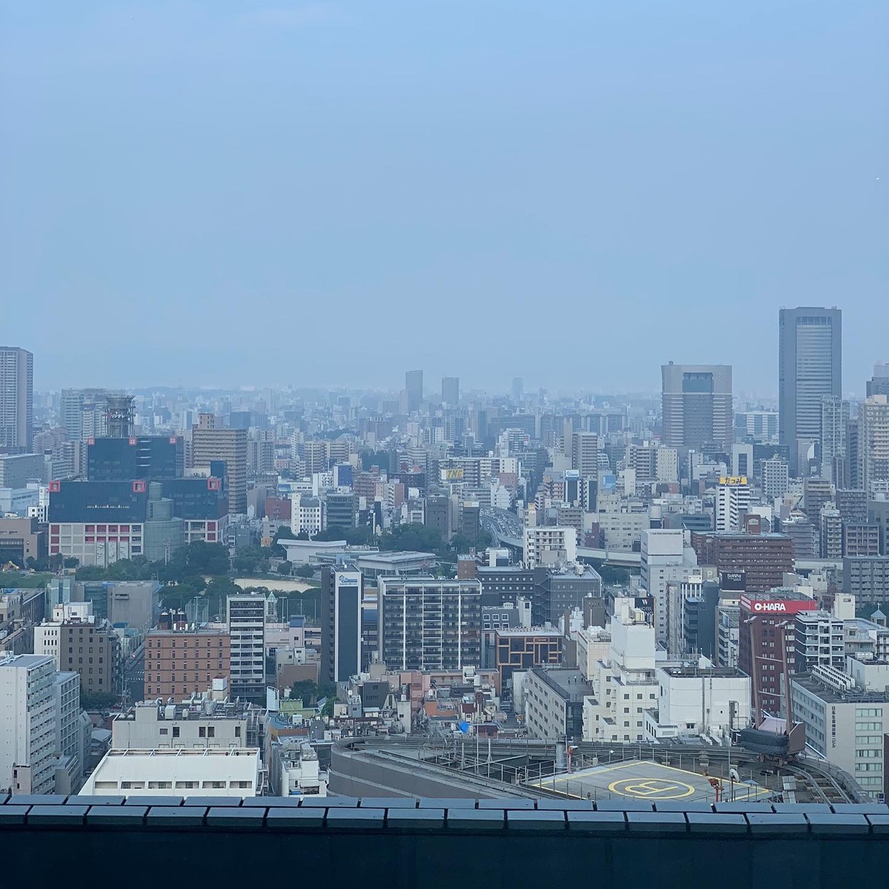 ～ニュー松阪～