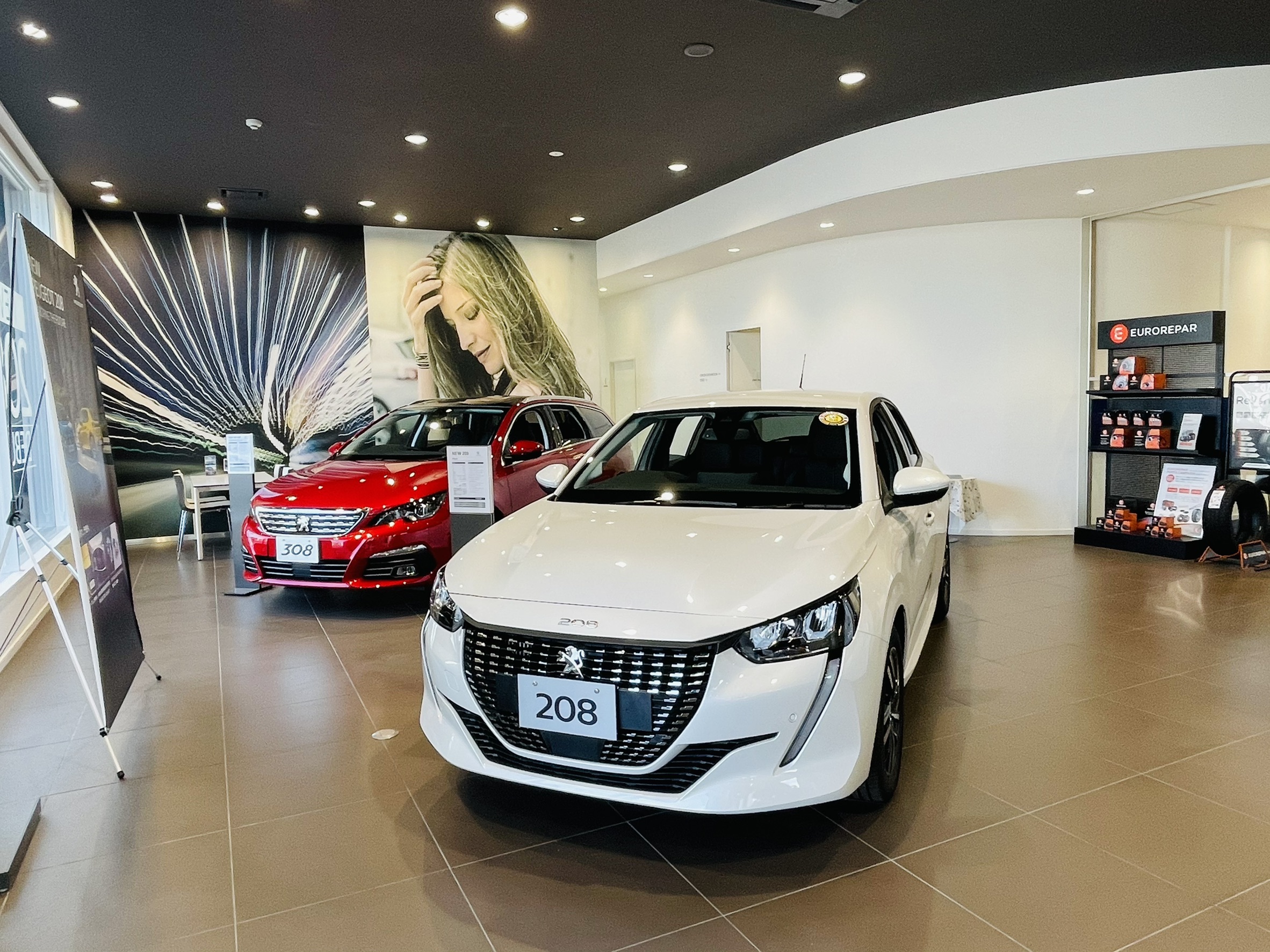 展示車のご紹介🚙