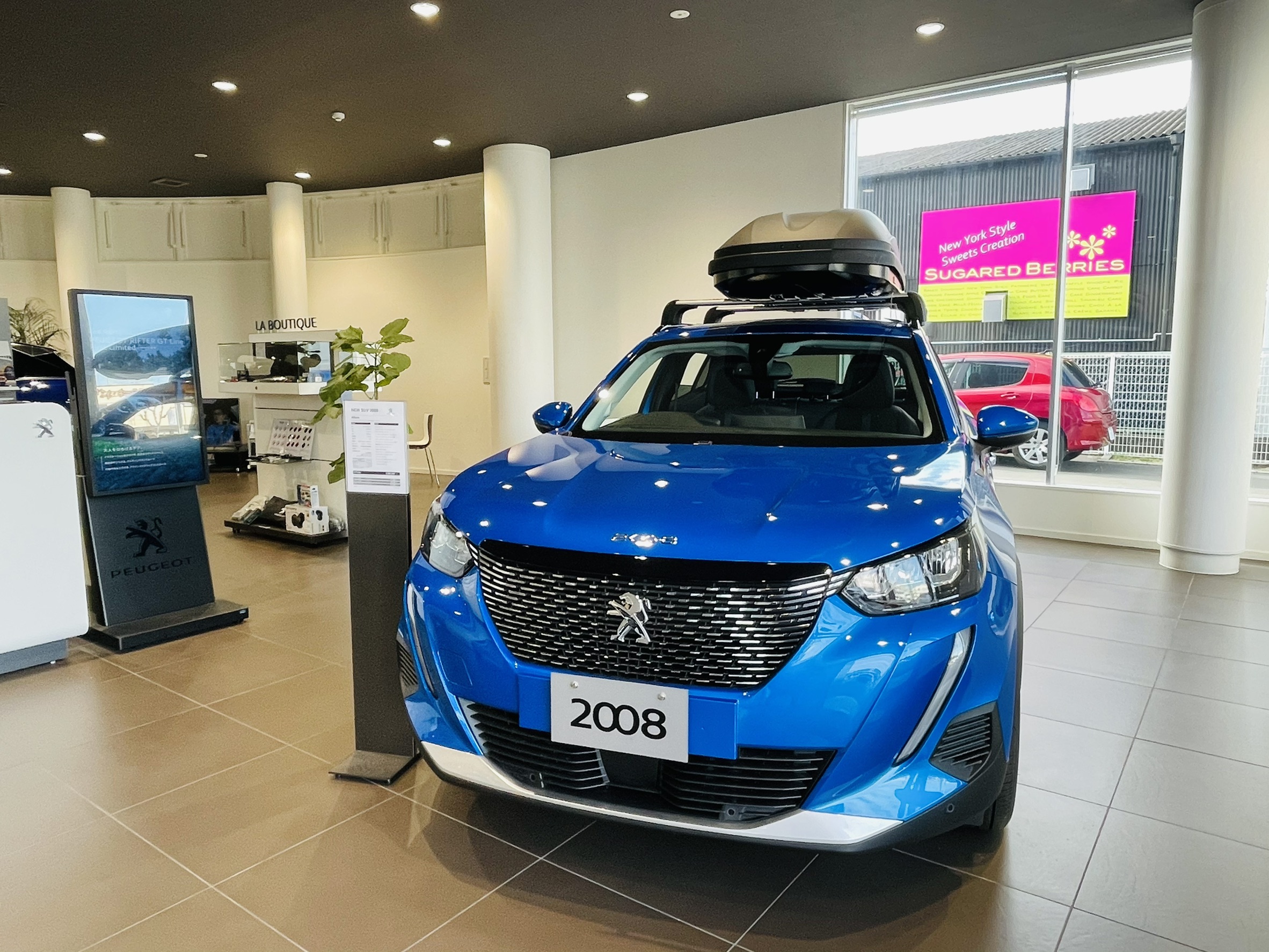 展示車のご紹介🚙