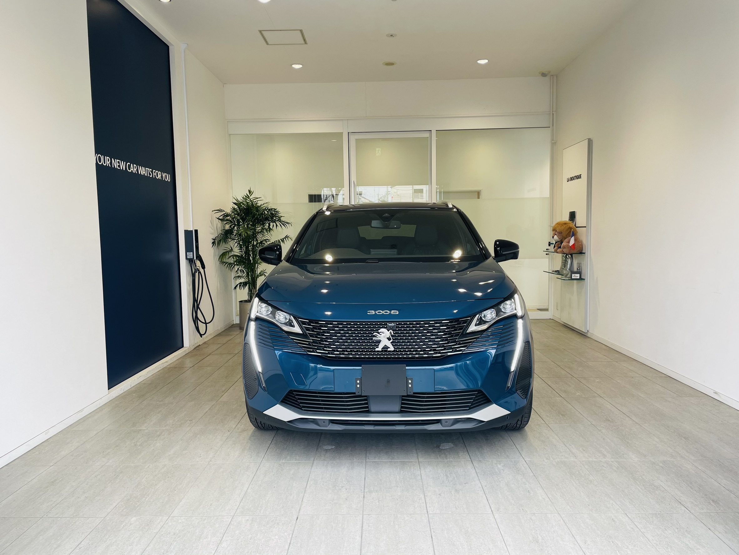 New 3008 セルベスブルー🚙