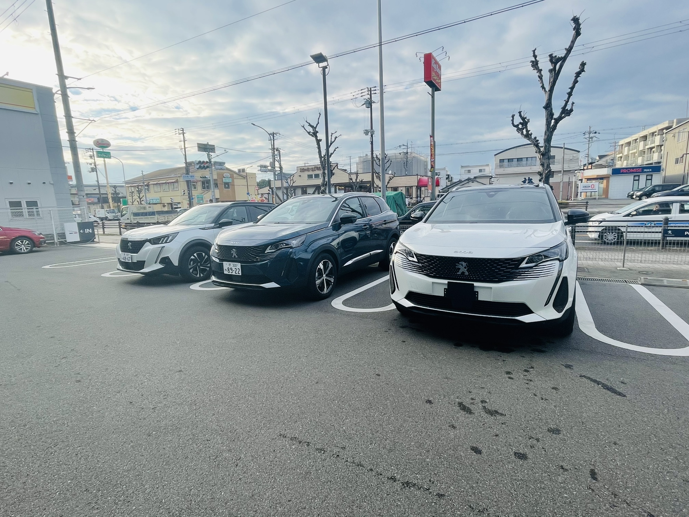 人気SUVを比較🚙