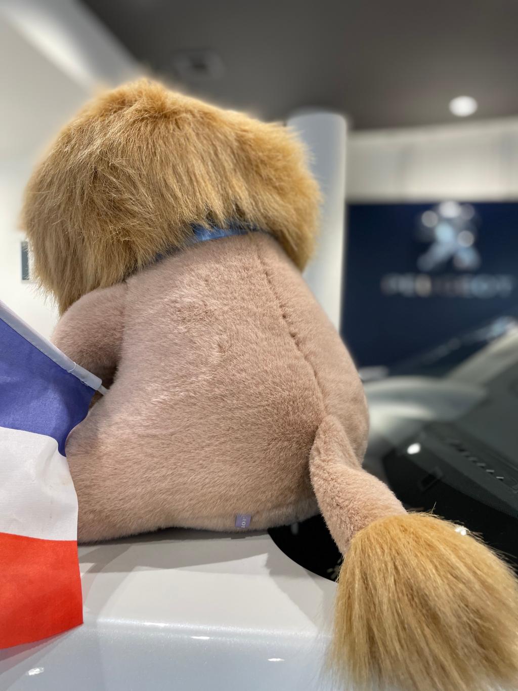 はじめまして！