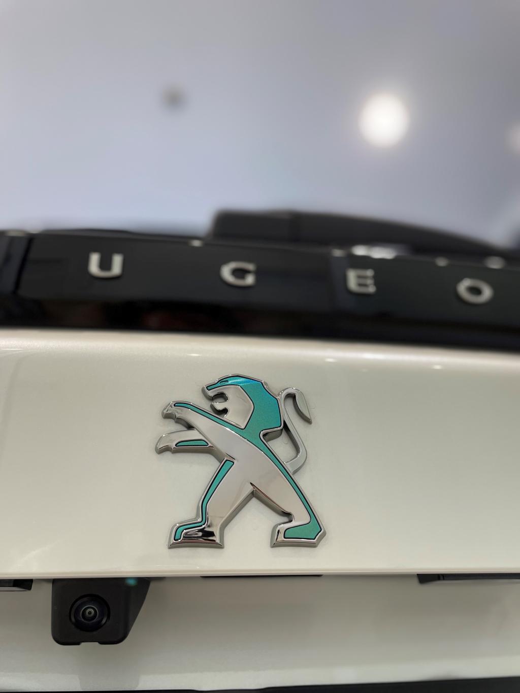 展示車入れ替え