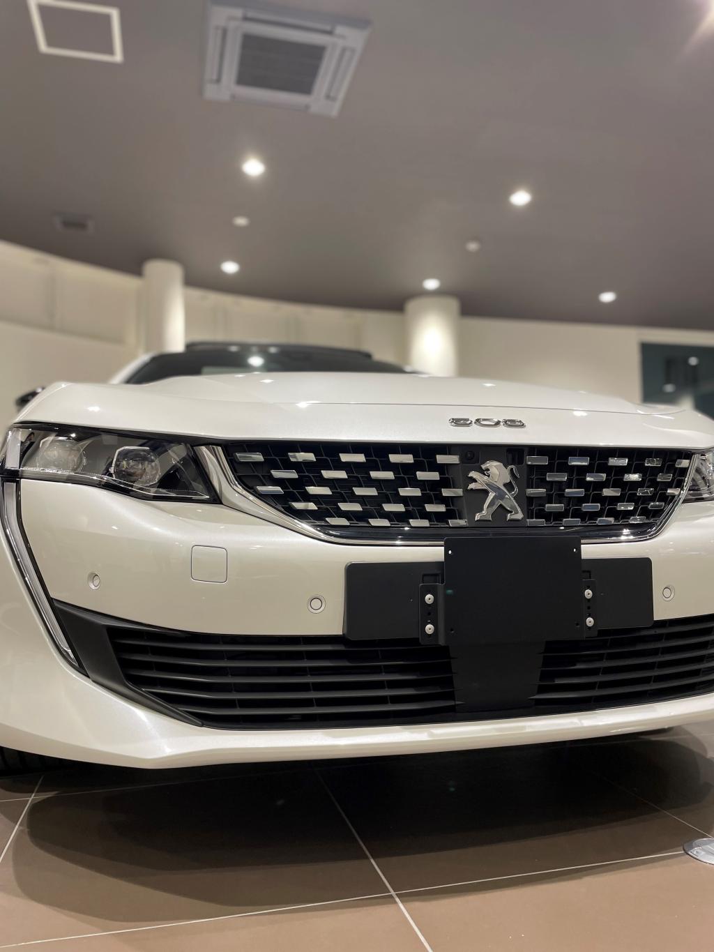 ショールームにあいつが！