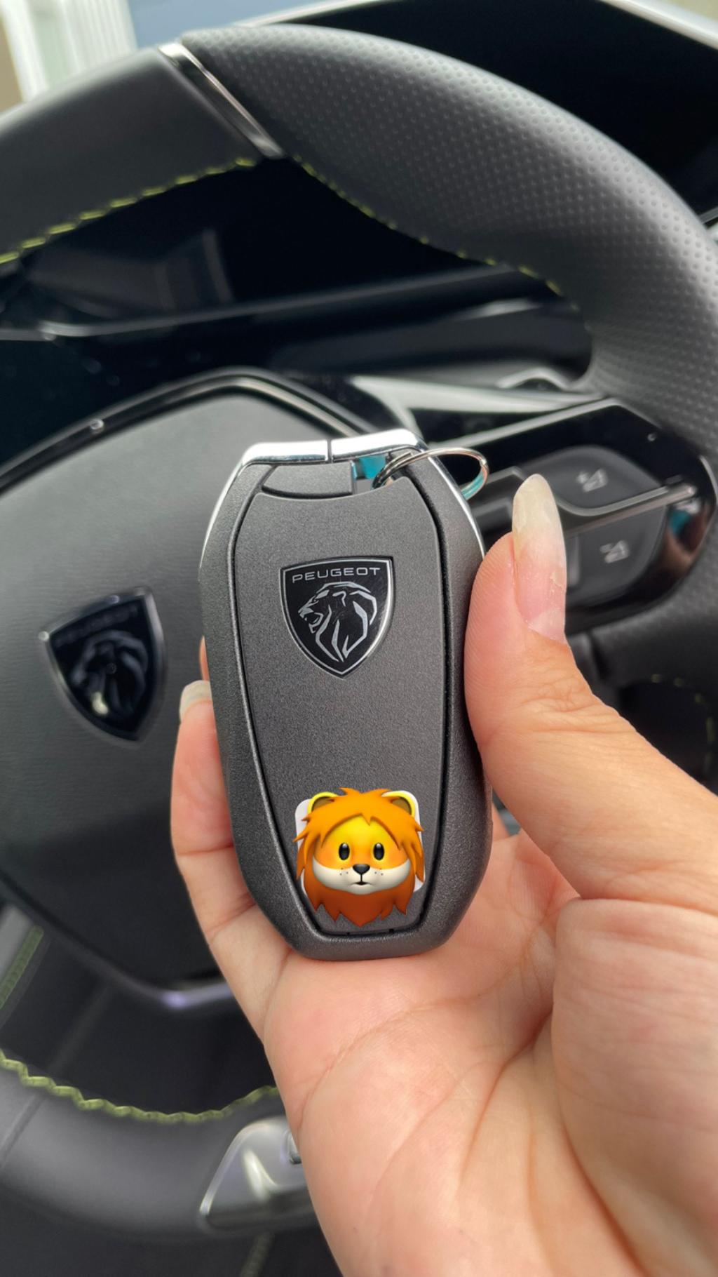 ３０８の新しいエンブレム