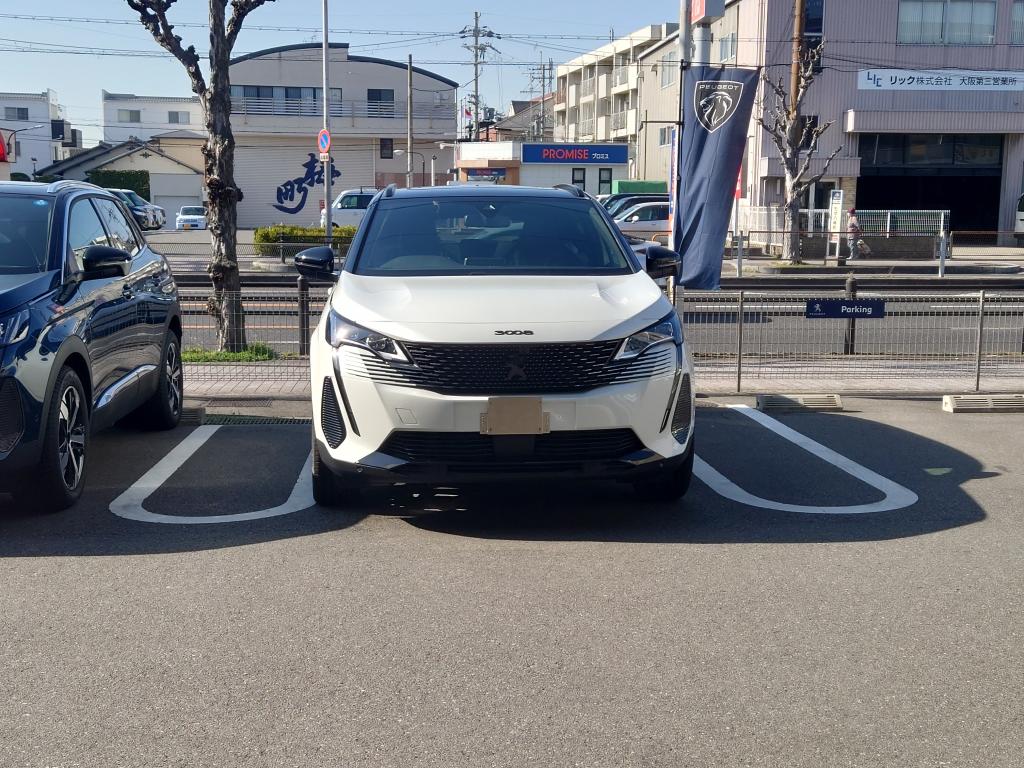 数量限定特別仕様車🦁