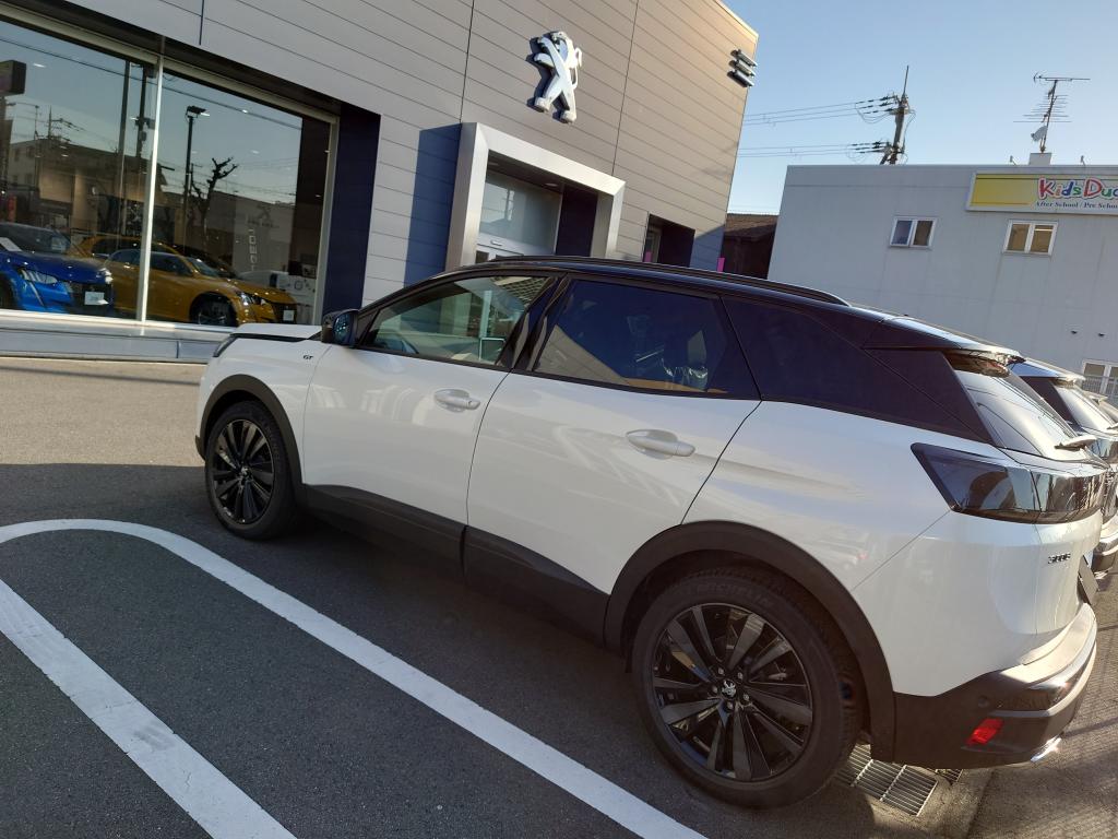 数量限定特別仕様車🦁