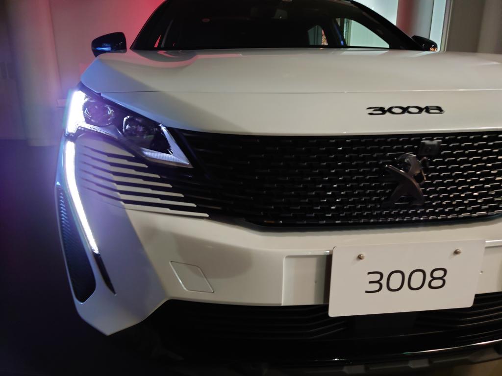 数量限定特別仕様車🦁