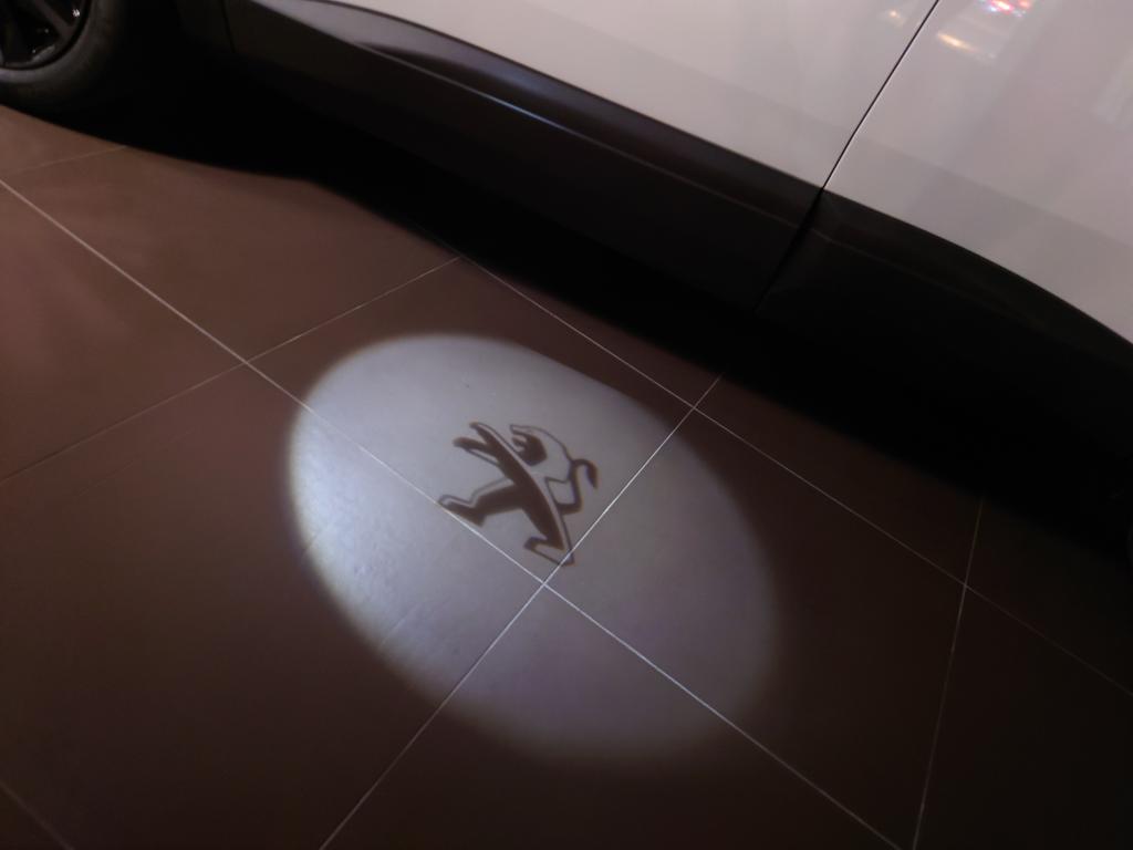 数量限定特別仕様車🦁
