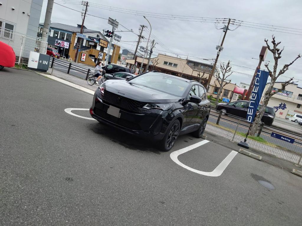 漆黒の3008🦁