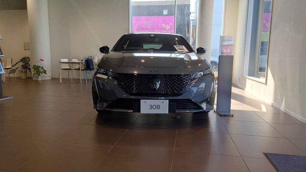 プシー堺のオススメモデルご紹介✨️