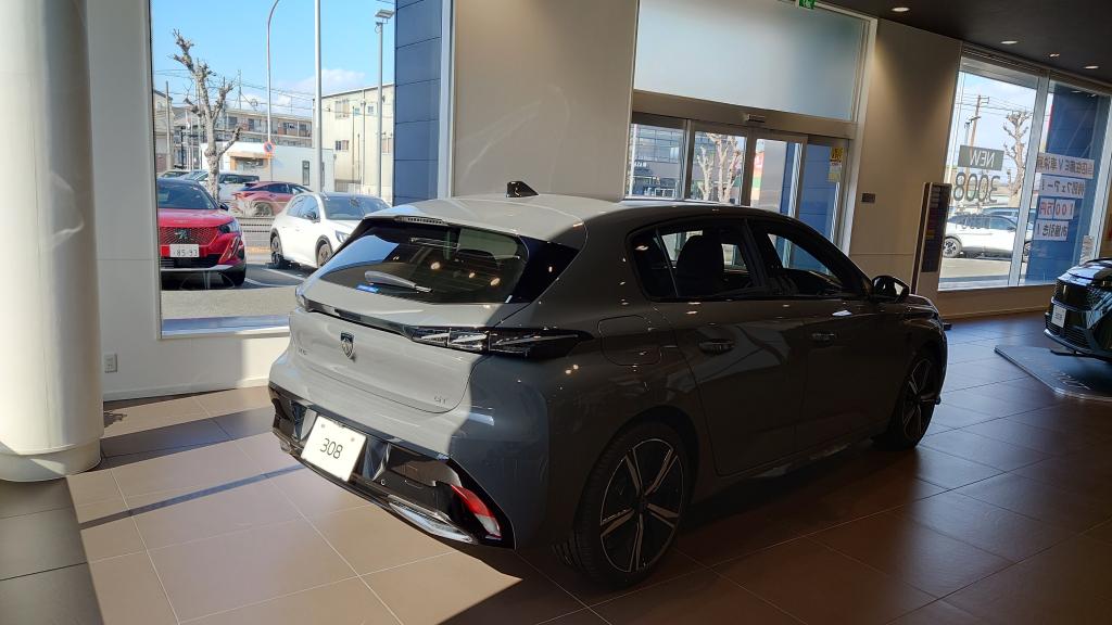 プシー堺のオススメモデルご紹介✨️