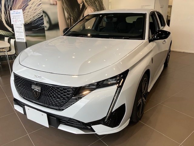 やっぱり〇〇〇がいい、、、