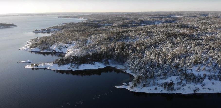 プジョー堺ショールームにて展示中✨️