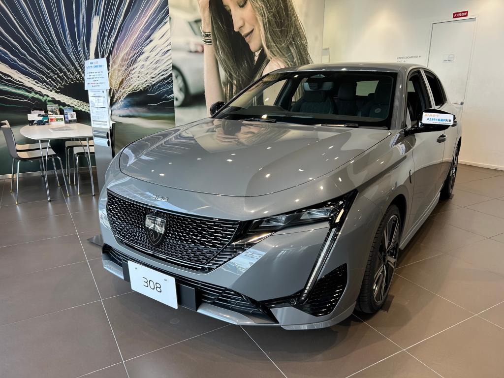 308 Selenium Edition✨